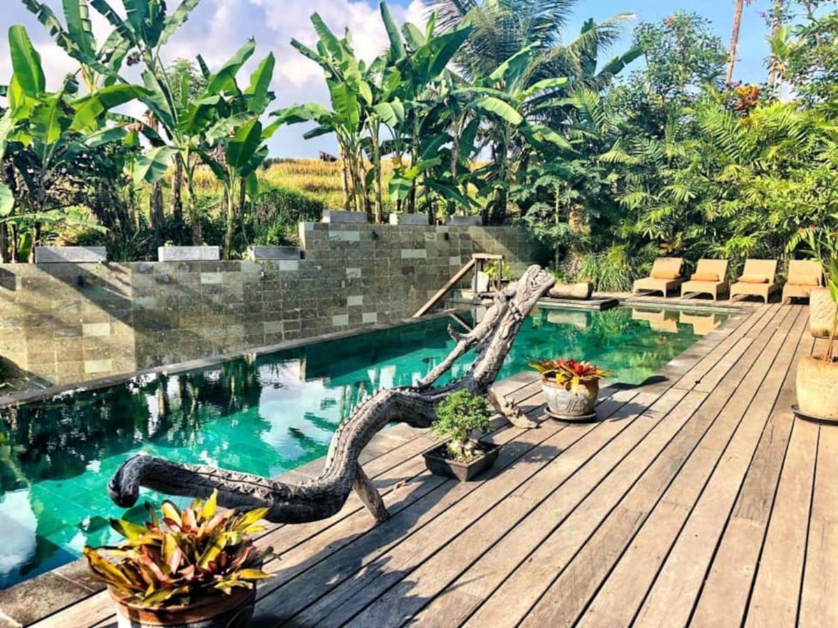 Dragon House - Your Dream House In Bali! Ubud Eksteriør billede